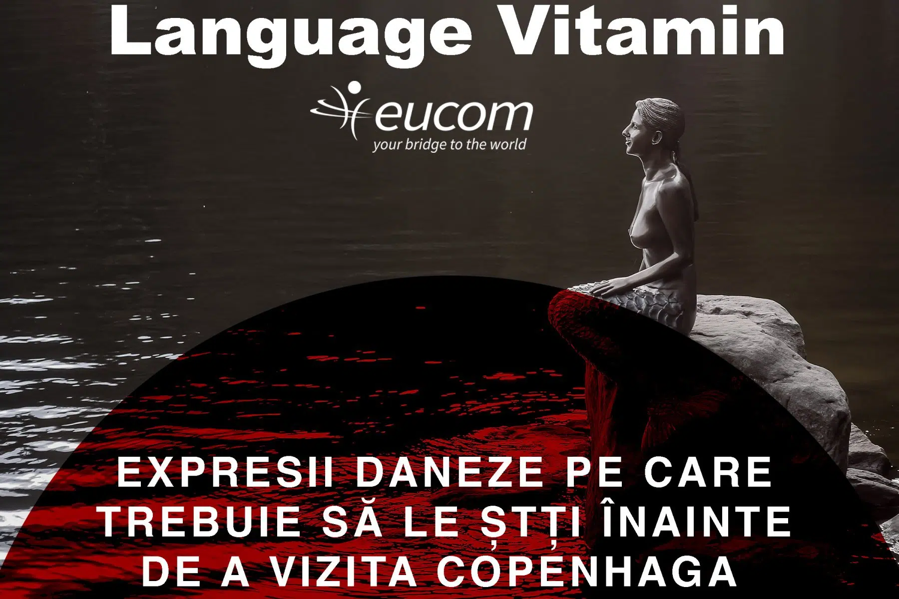 Expresii daneze pe care ar trebui să le știți înainte de a vizita Copenhaga - eucom.ro