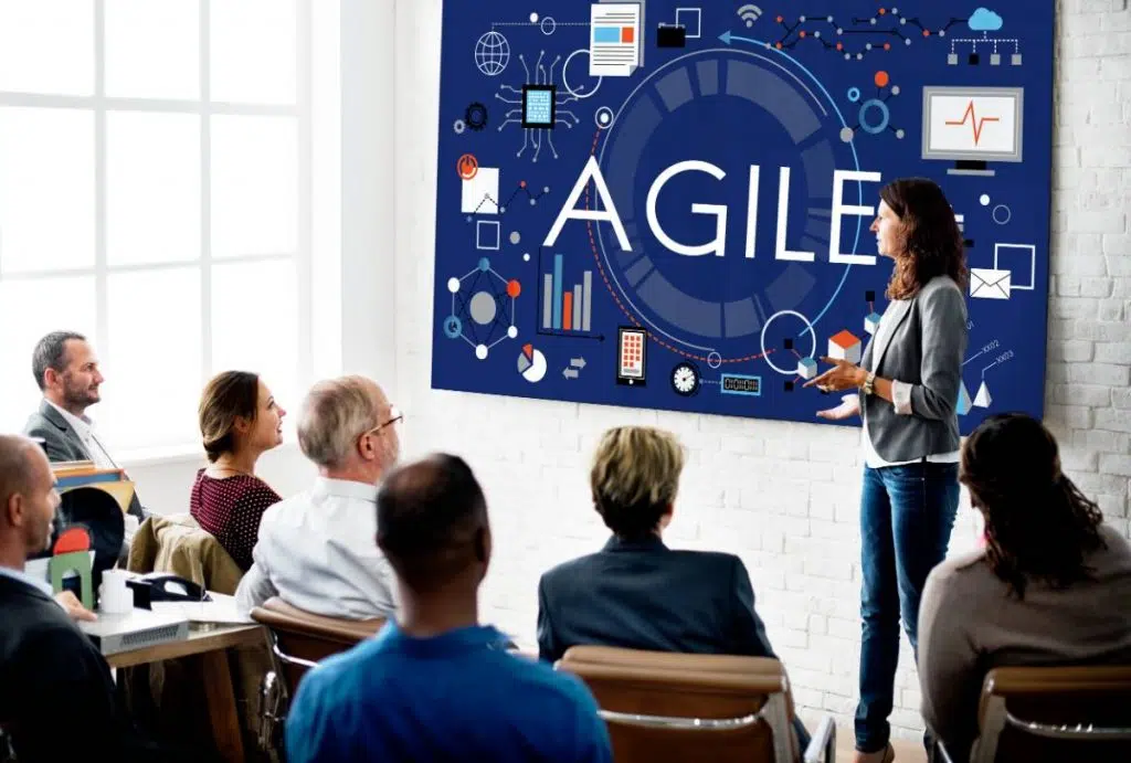 3. Dezvoltare profesionala - meeting cu tema Agile, prezentare